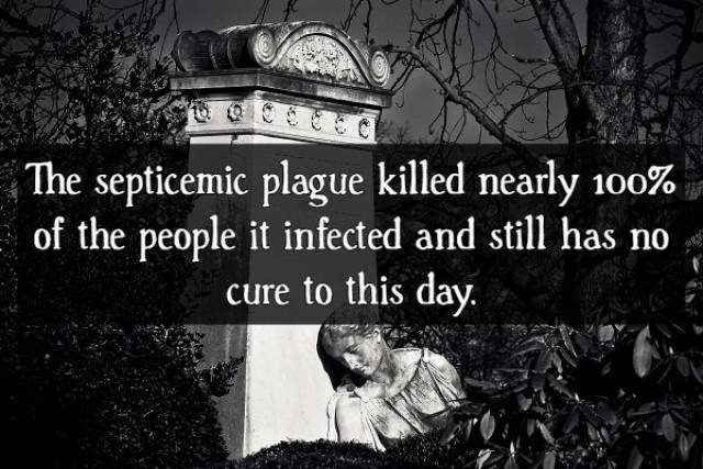 Contagious Facts About “The Black Death”