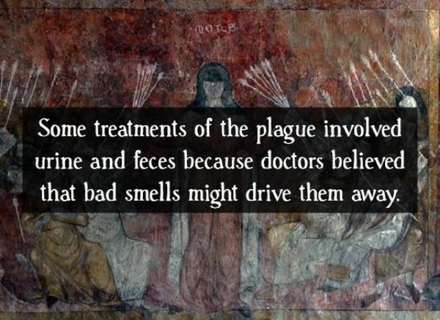 Contagious Facts About “The Black Death”