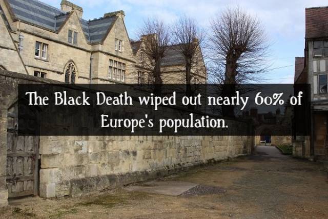 Contagious Facts About “The Black Death”