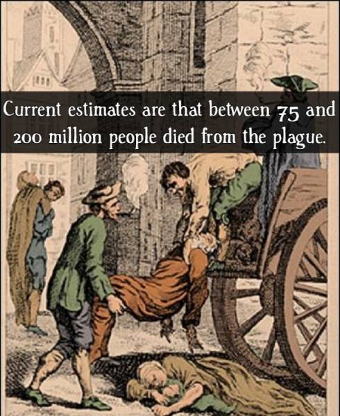 Contagious Facts About “The Black Death”
