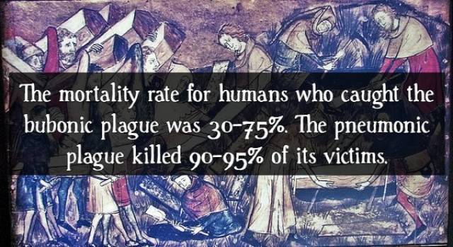 Contagious Facts About “The Black Death”