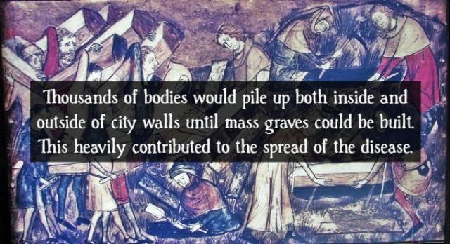 Contagious Facts About “The Black Death”
