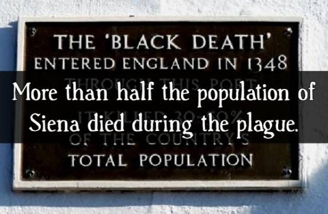 Contagious Facts About “The Black Death”
