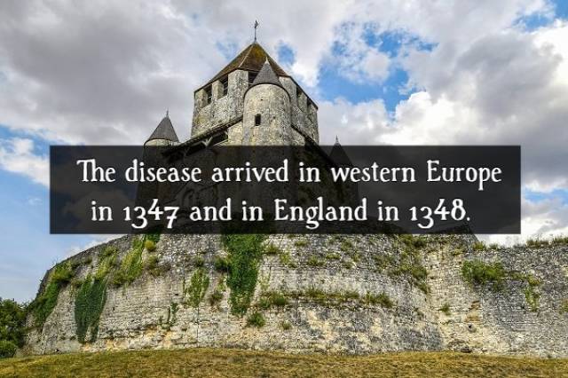 Contagious Facts About “The Black Death”