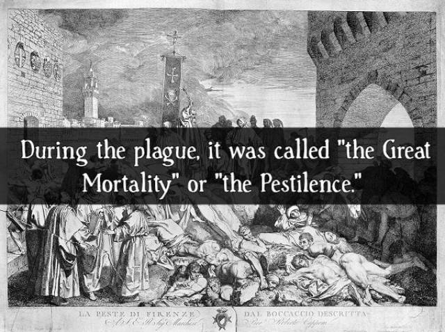 Contagious Facts About “The Black Death”