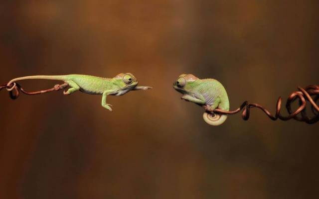 There Might Never Be Another Photo Like These Ones