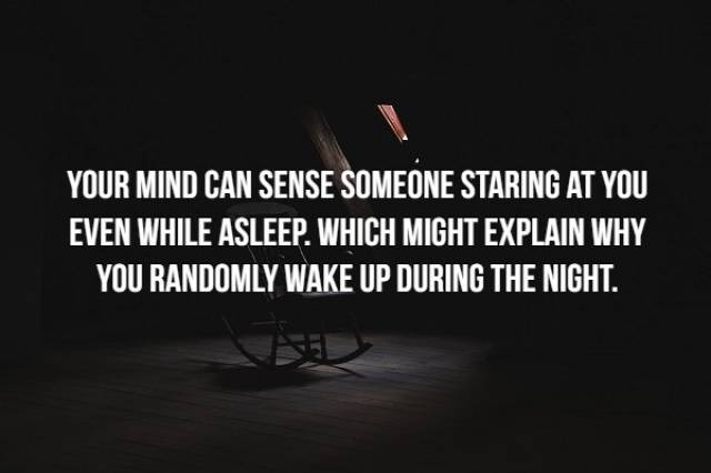 Facts That Will Keep You Awake At Night