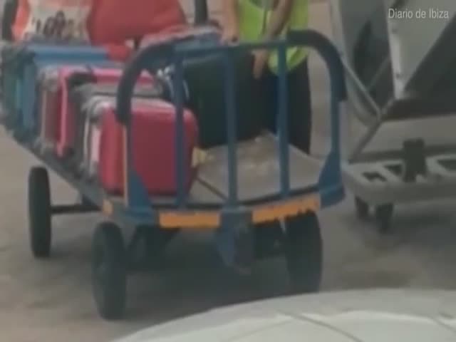 Baggage Handler Thought That Nobody Will Notice