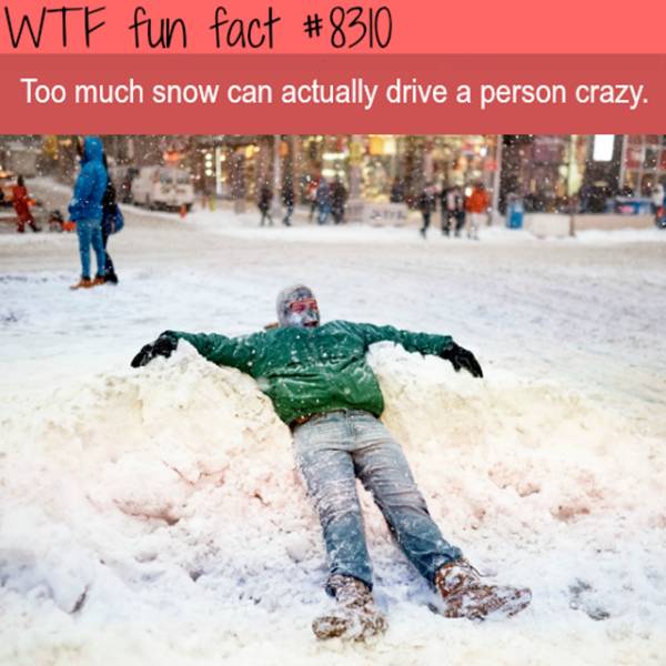 Random Facts That Come Out Of Nowhere