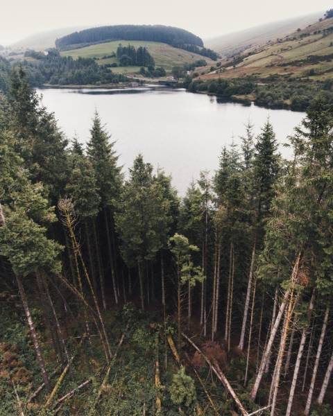 Focus Very Hard And Figure Out What’s Going On Here