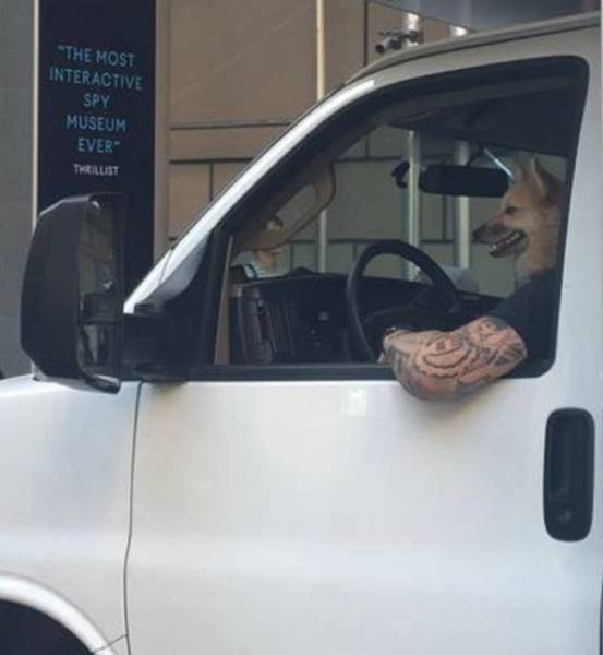 Focus Very Hard And Figure Out What’s Going On Here