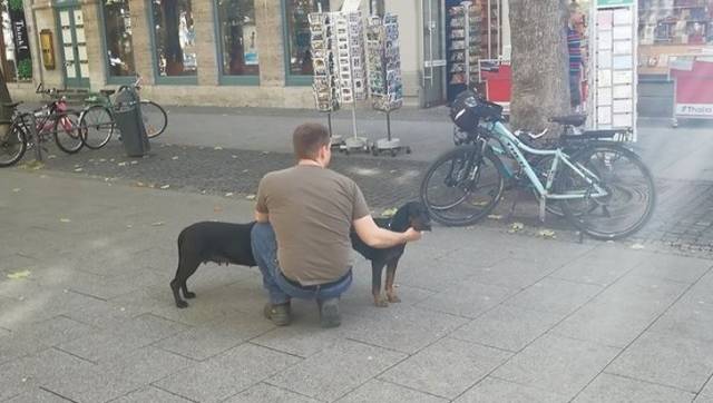 Focus Very Hard And Figure Out What’s Going On Here