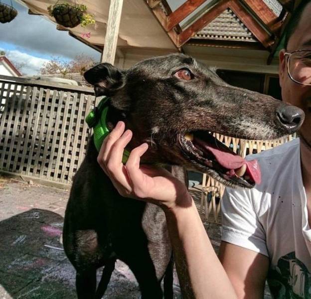 Focus Very Hard And Figure Out What’s Going On Here