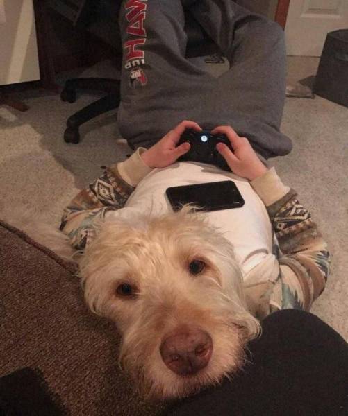 Focus Very Hard And Figure Out What’s Going On Here