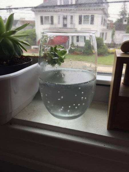 Focus Very Hard And Figure Out What’s Going On Here