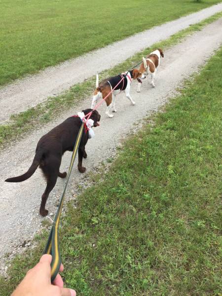 Only People From The Future Could’ve Come Up With That Only People From The Future Could’ve Come Up With That