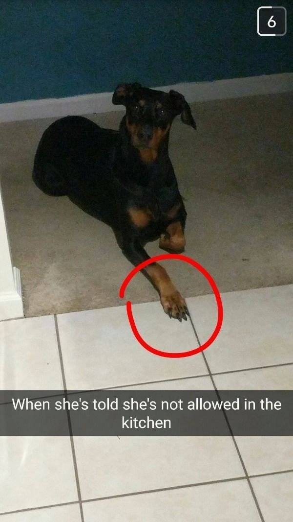 They Do What They Want, Deal With It