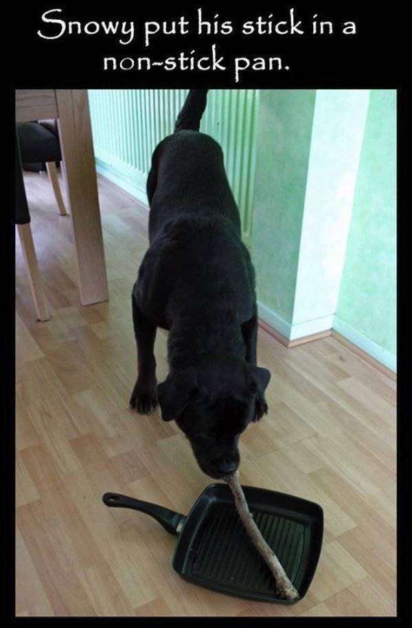 They Do What They Want, Deal With It