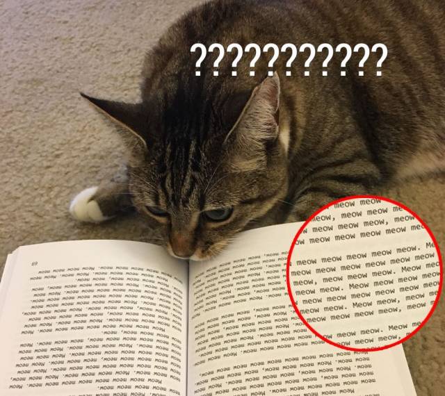 Daily Picdump