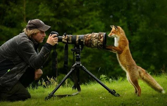 Daily Picdump