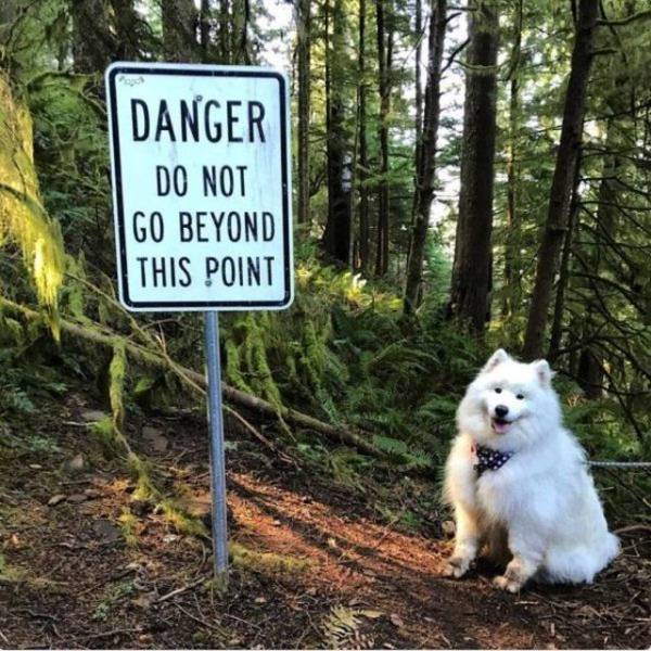 Daily Picdump