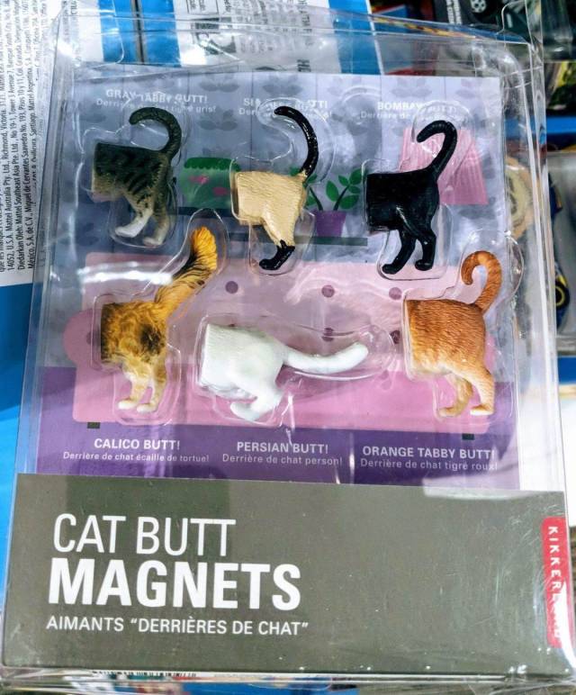 Daily Picdump