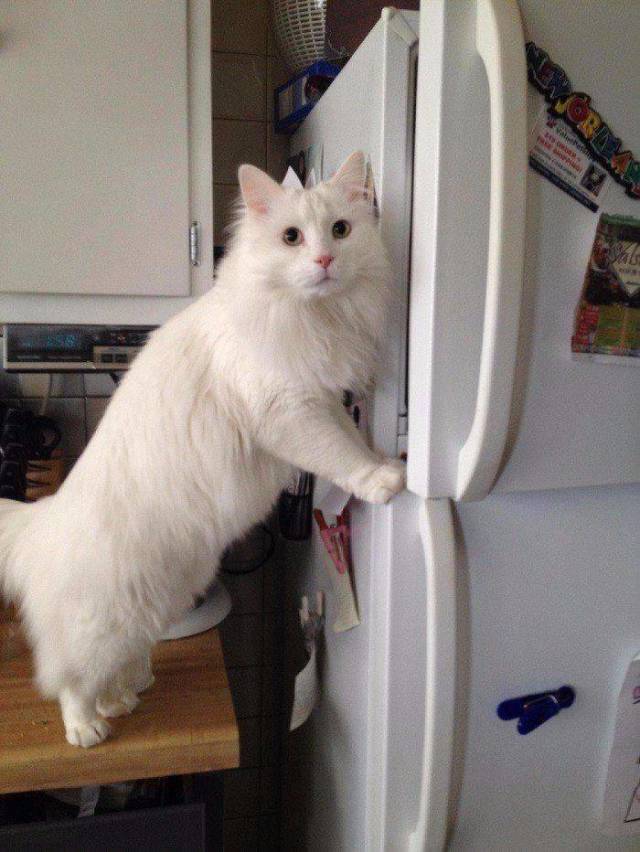 Daily Picdump