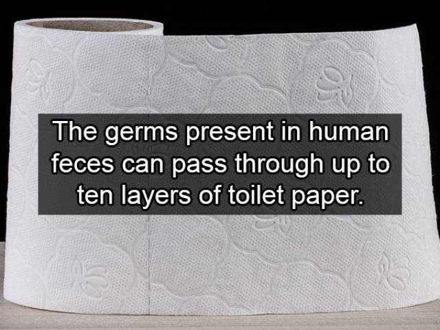 Germs, Germs Are EVERYWHERE!