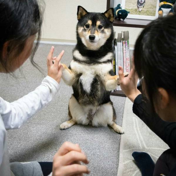 Daily Picdump