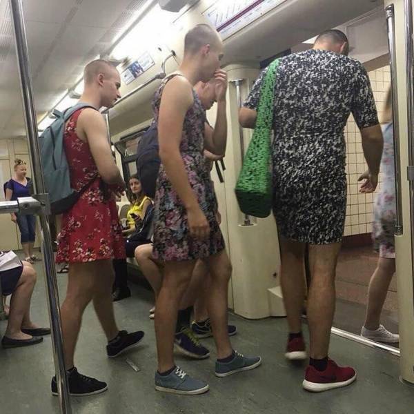 Daily Picdump