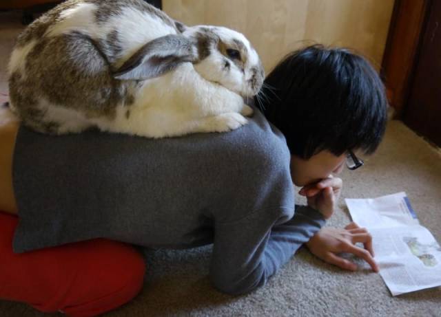Daily Picdump