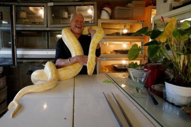 Daily Picdump