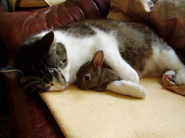 Daily Picdump