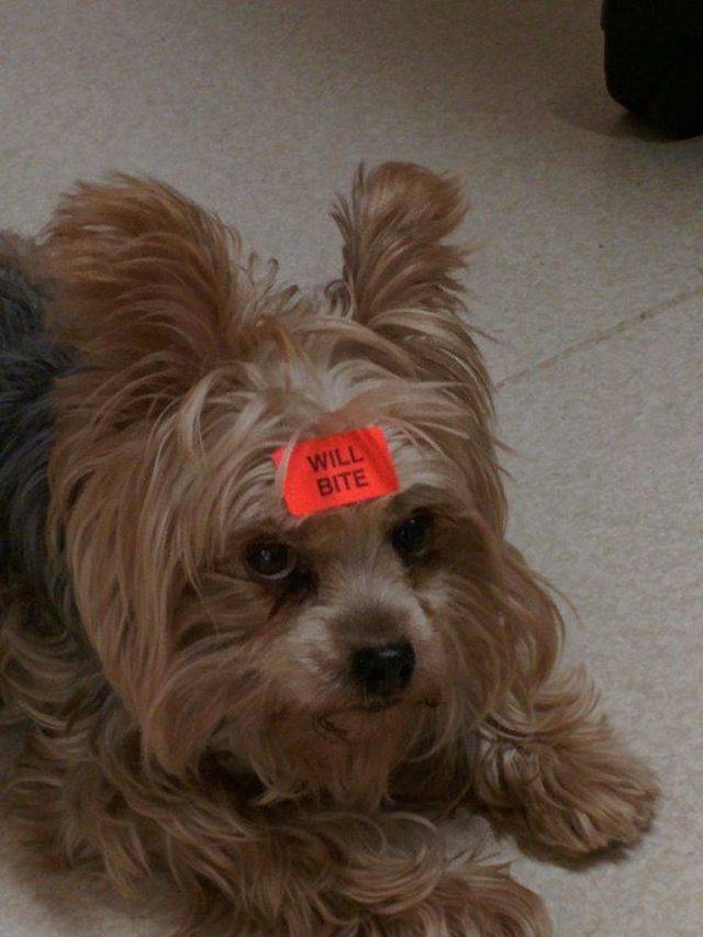 Daily Picdump