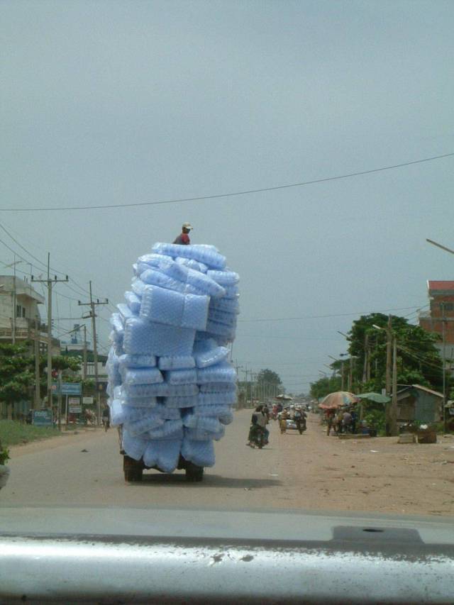 Daily Picdump
