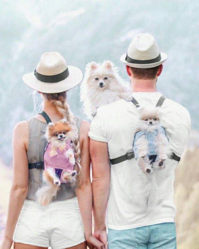 Daily Picdump