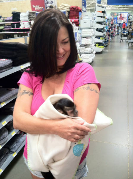 Walmart Is A Place Of Wonders…