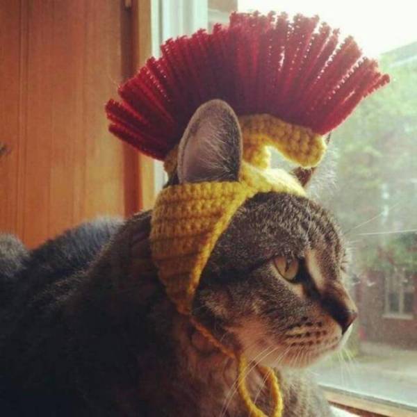Daily Picdump