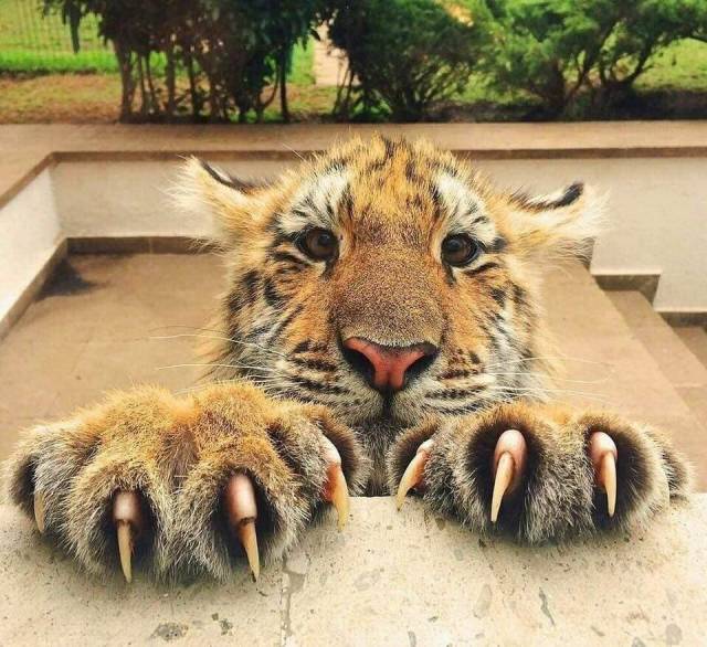 Daily Picdump