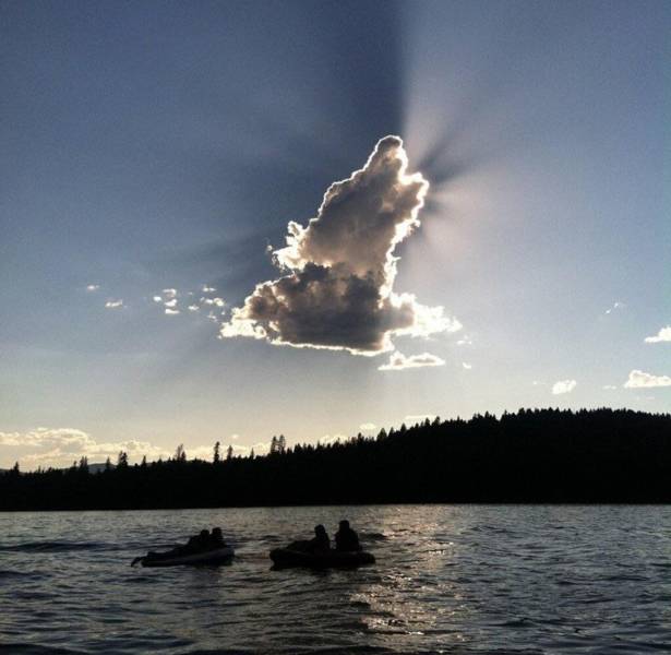 Daily Picdump