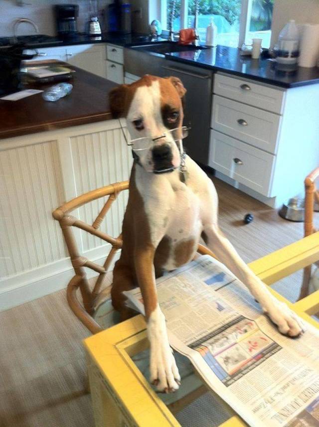 Daily Picdump