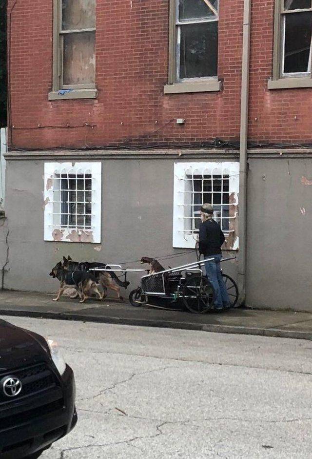 Daily Picdump