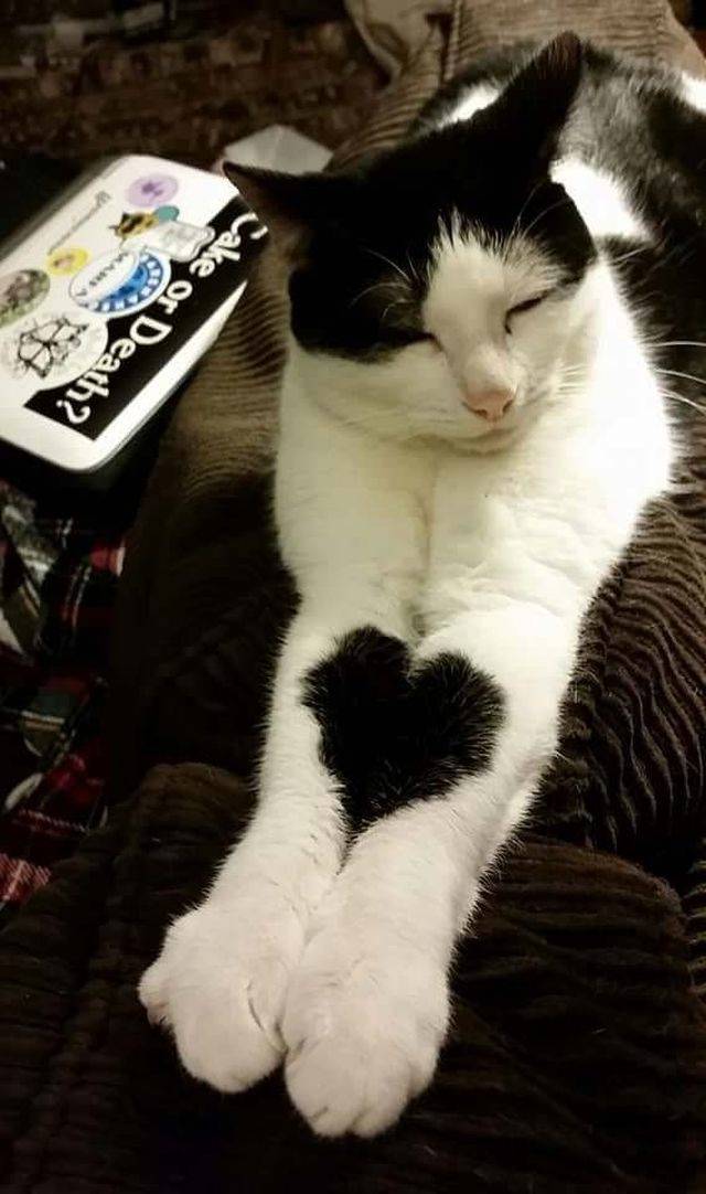 Daily Picdump