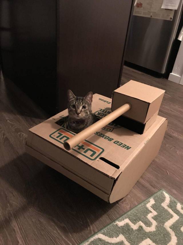 Daily Picdump
