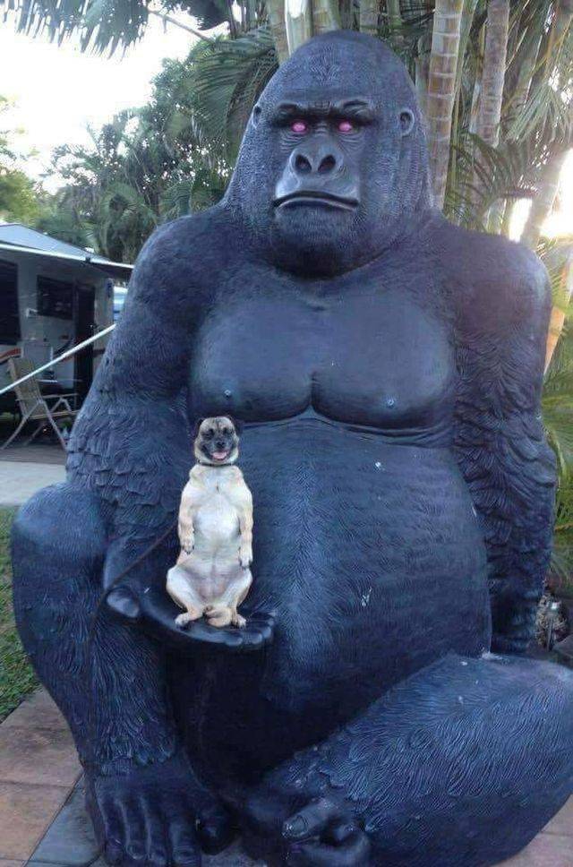 Daily Picdump