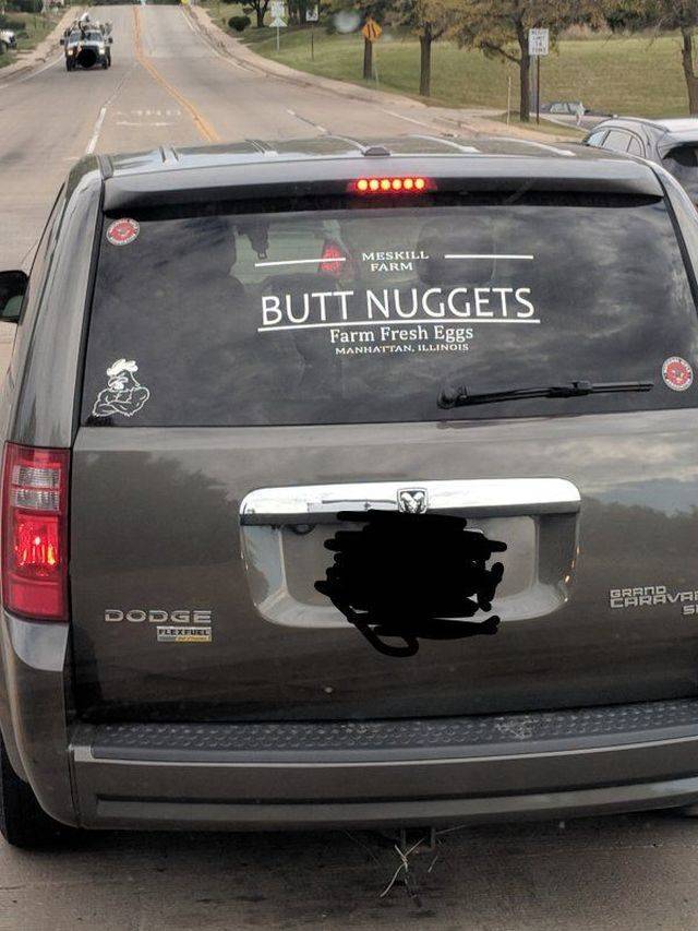 Daily Picdump