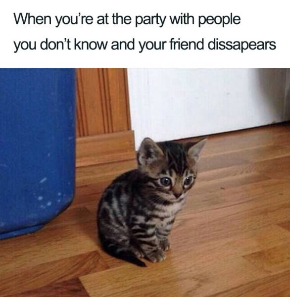 Introvert Memes That Are Only For Insiders