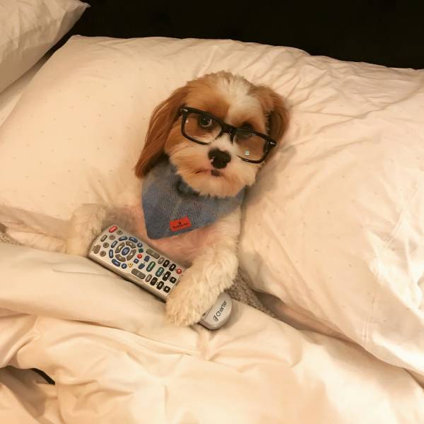 Morning Picdump