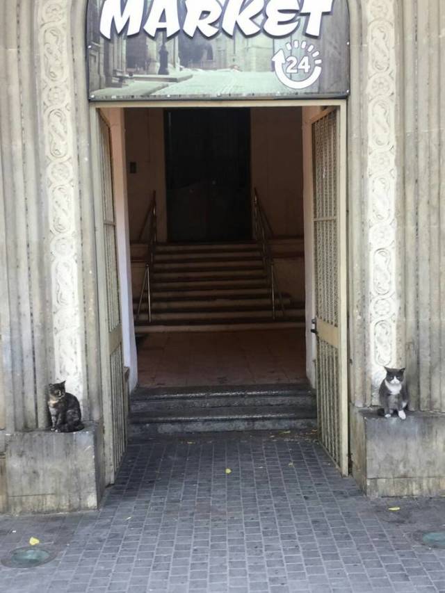 Morning Picdump