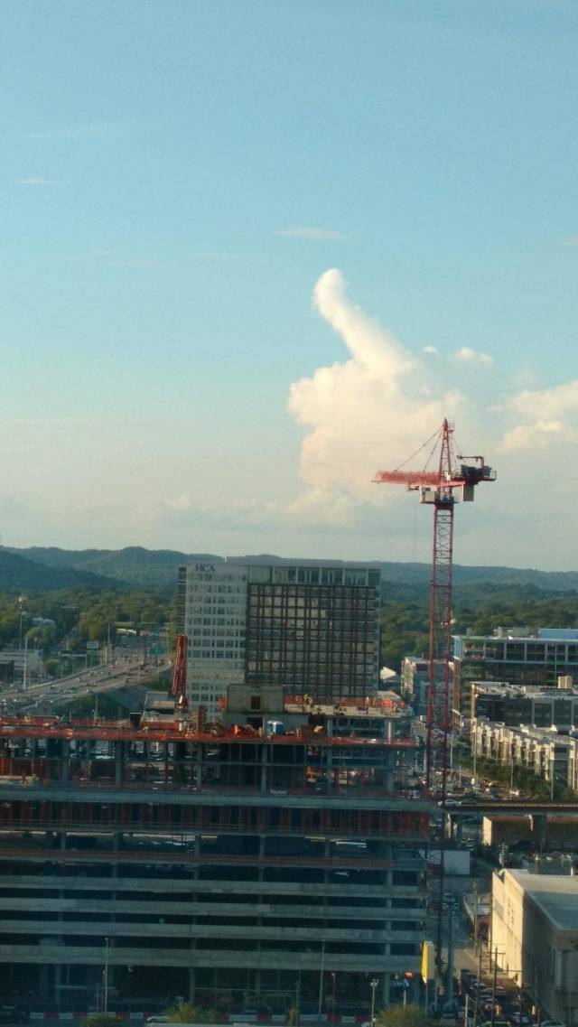 Morning Picdump